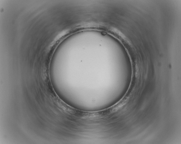 X0000074321213200609152023