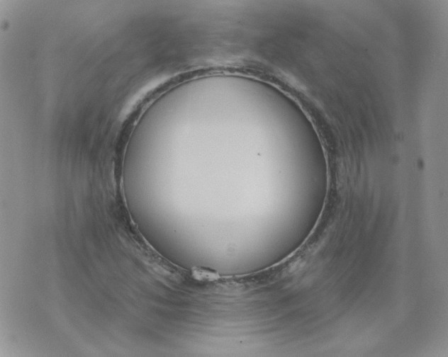 X0000074321214200609152023