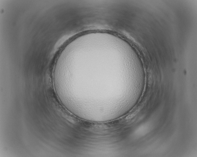 X0000074321215200609152023