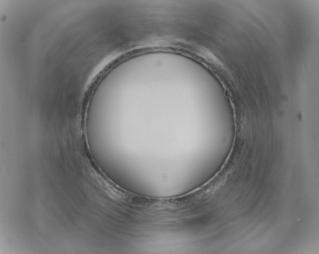 X0000074321216200609152023