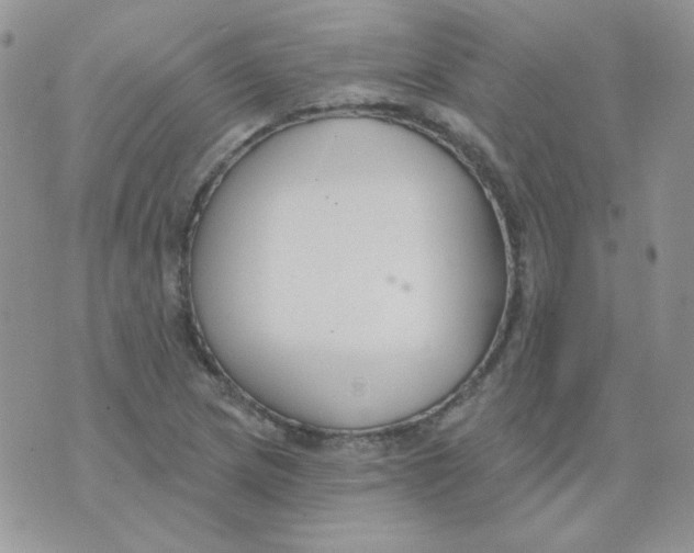 X0000074321217200609152023