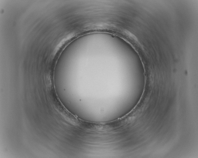 X0000074321218200609152023