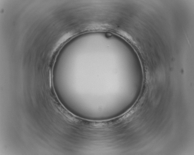 X0000074321219200609152023