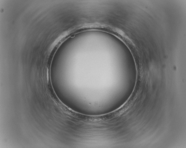 X0000074321221200609152023