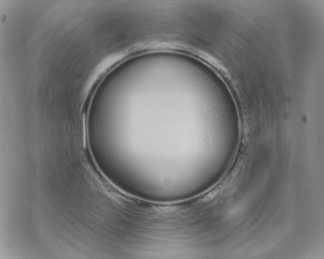 X0000074321223200609152023