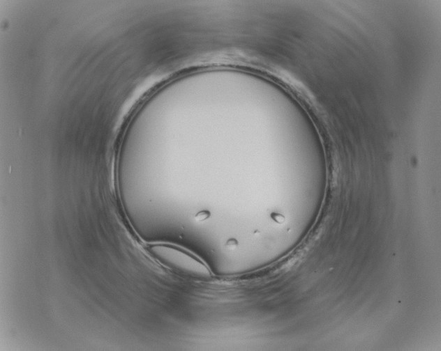 X0000074321224200609152023