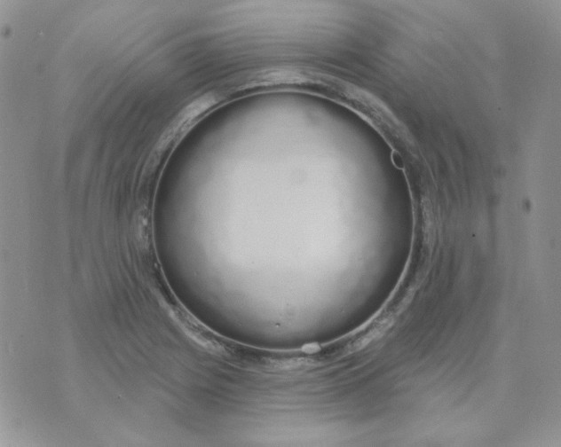 X0000074321225200609152024