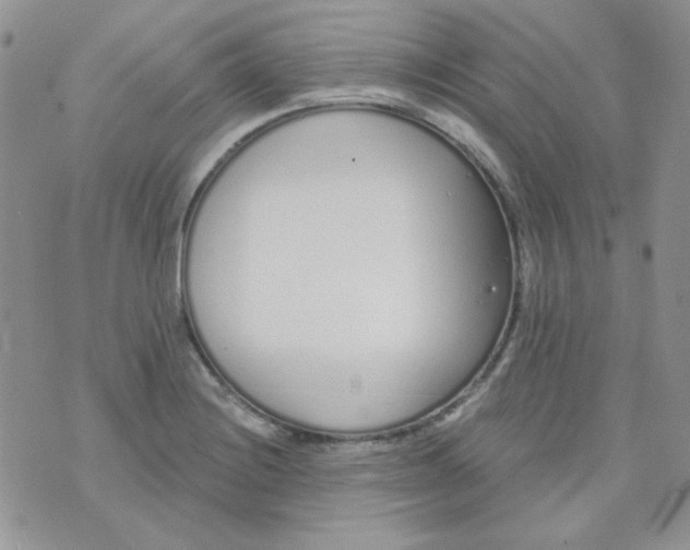 X0000074321228200609152024