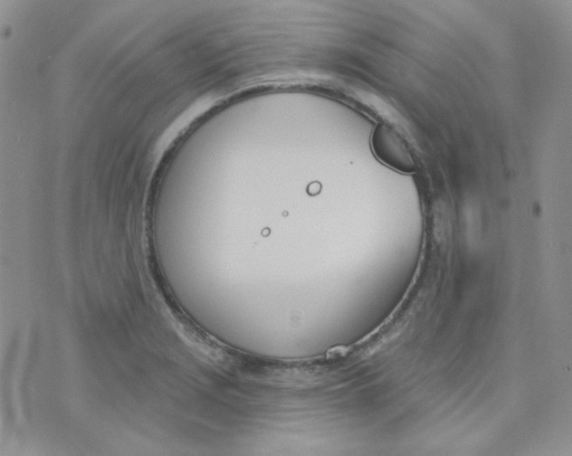 X0000074321229200609152024