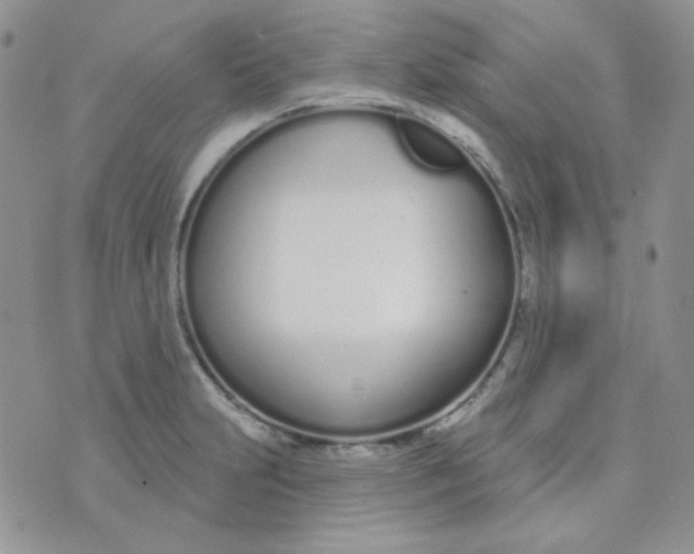 X0000074321231200609152024