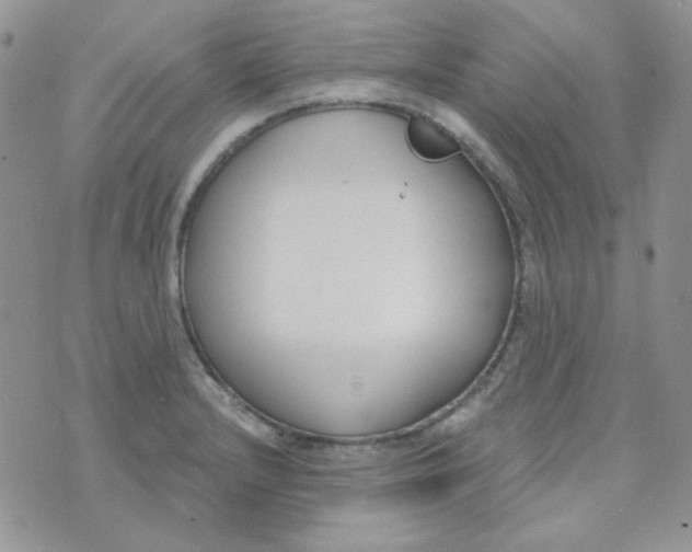 X0000074321232200609152024