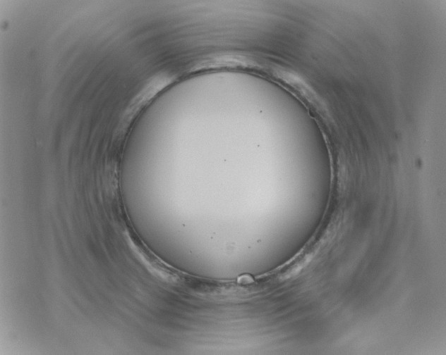 X0000074321233200609152024