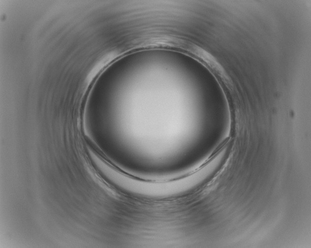 X0000074321234200609152024