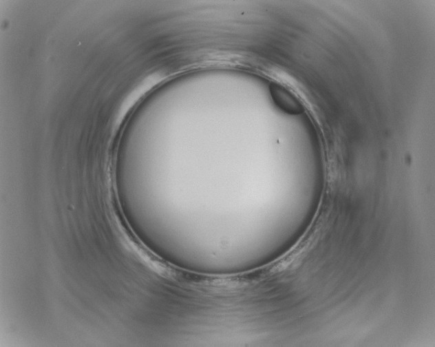 X0000074321235200609152024