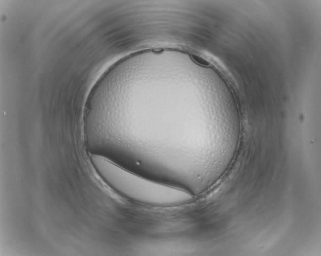 X0000074321236200609152024