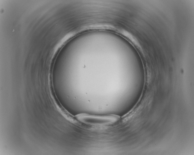 X0000074321237200609152024