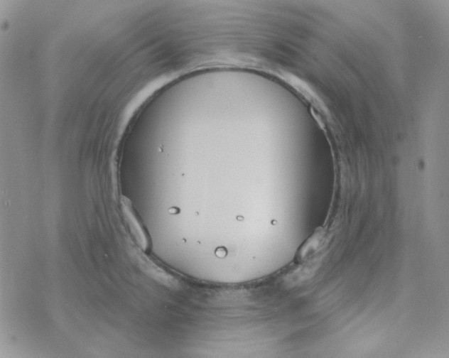 X0000074321238200609152024