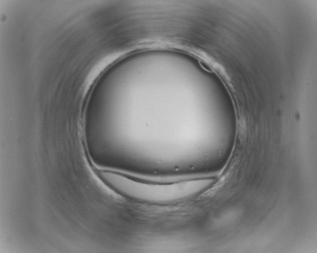 X0000074321239200609152024