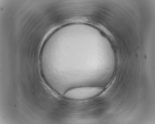 X0000074321240200609152024