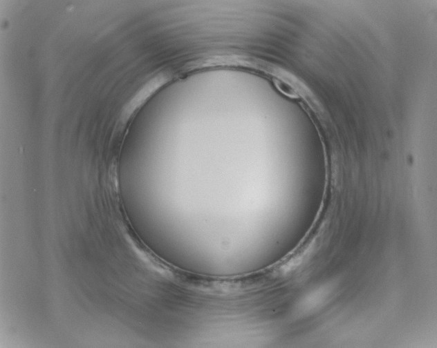 X0000074321241200609152024