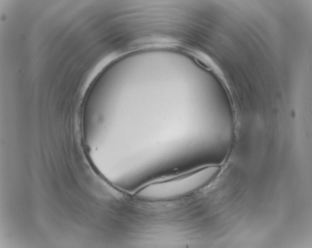 X0000074321243200609152024