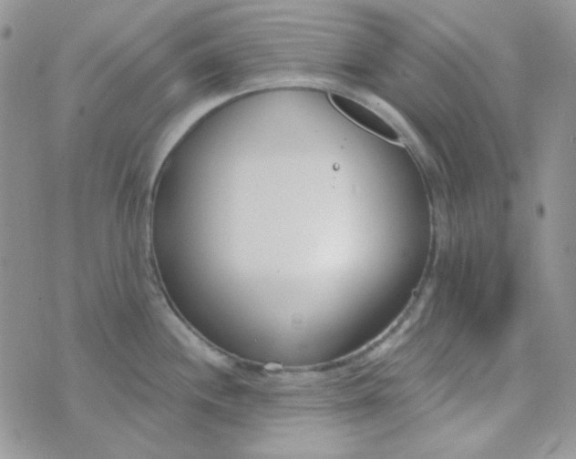 X0000074321244200609152024