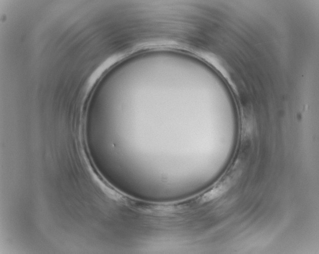 X0000074321245200609152024