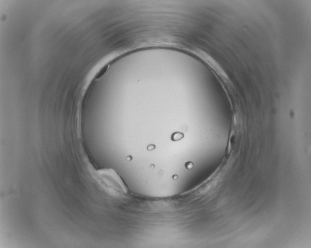 X0000074321246200609152024