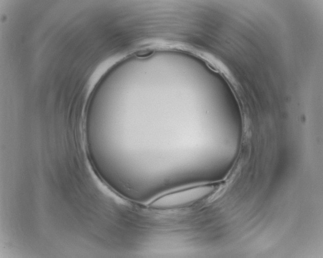 X0000074321247200609152024