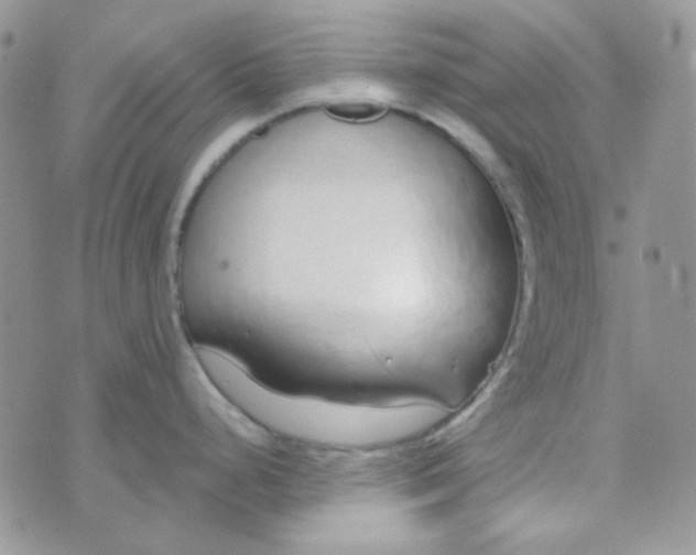 X0000074321248200609152024