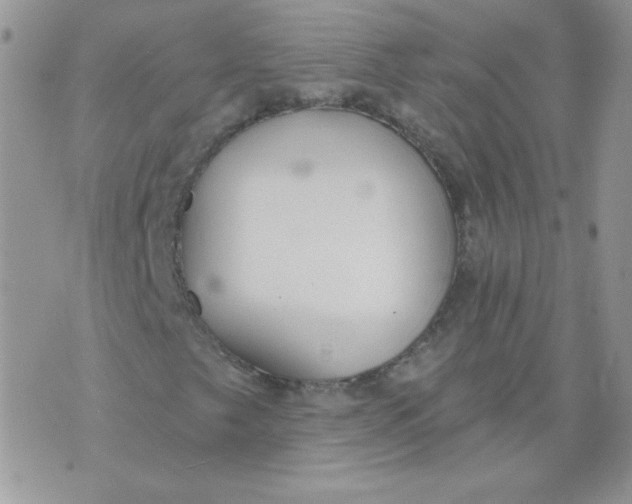 X0000074321249200609152023