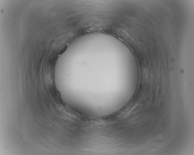 X0000074321250200609152023