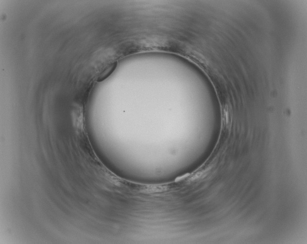 X0000074321251200609152023