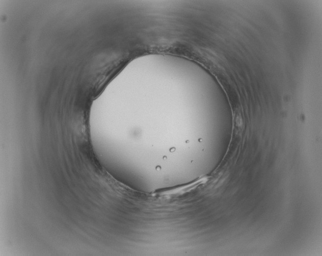 X0000074321252200609152023