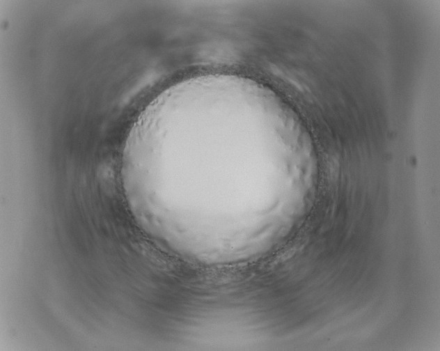 X0000074321254200609152023