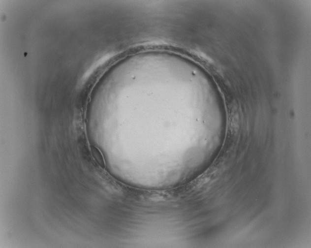 X0000074321255200609152023