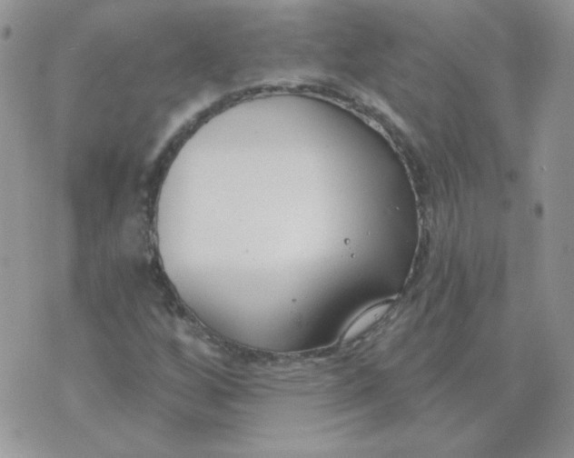 X0000074321256200609152023