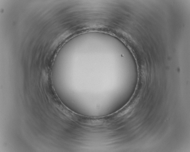 X0000074321257200609152023