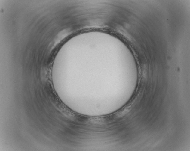 X0000074321258200609152023