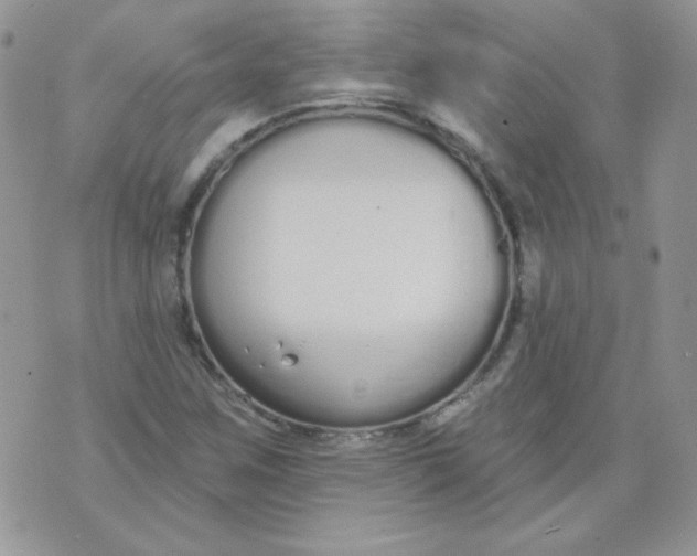 X0000074321259200609152023