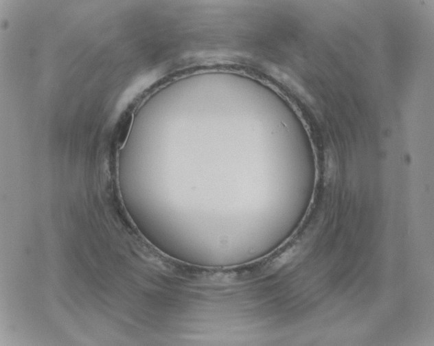 X0000074321261200609152023