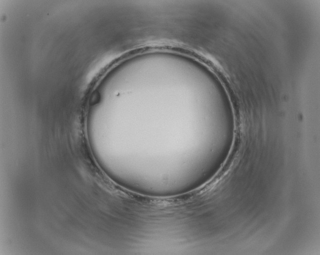 X0000074321263200609152023