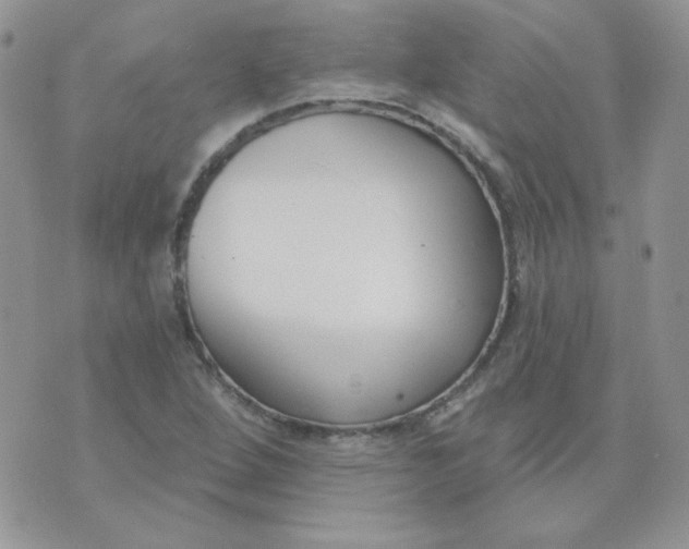 X0000074321264200609152023