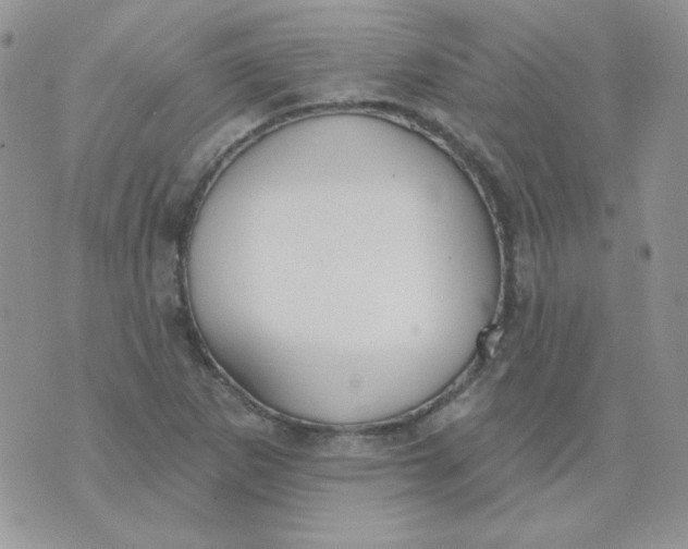 X0000074321265200609152023