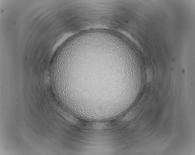 X0000074321266200609152023