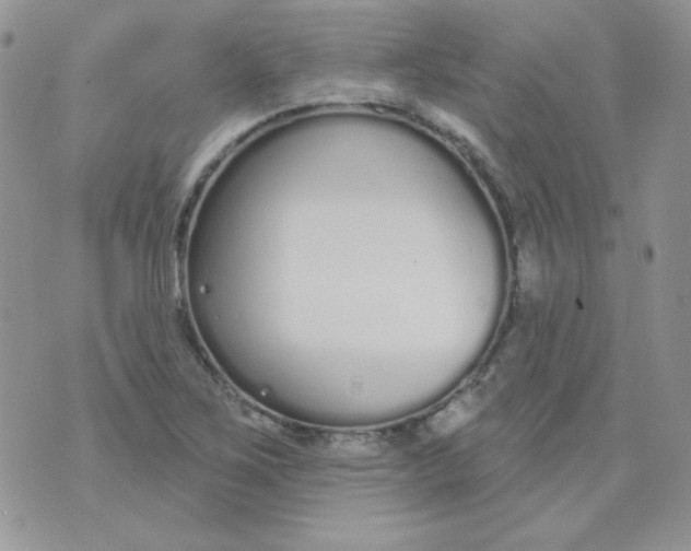 X0000074321267200609152023