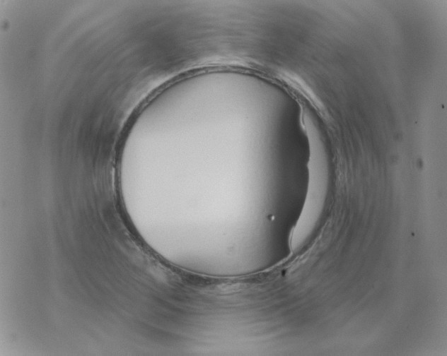 X0000074321268200609152023