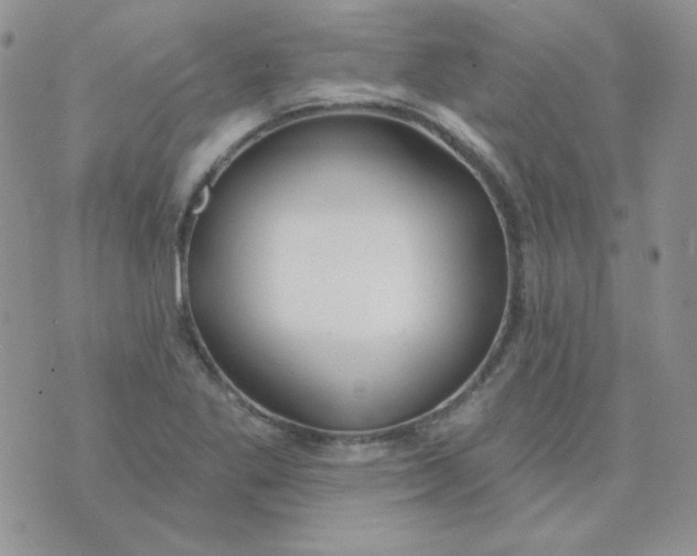 X0000074321269200609152023