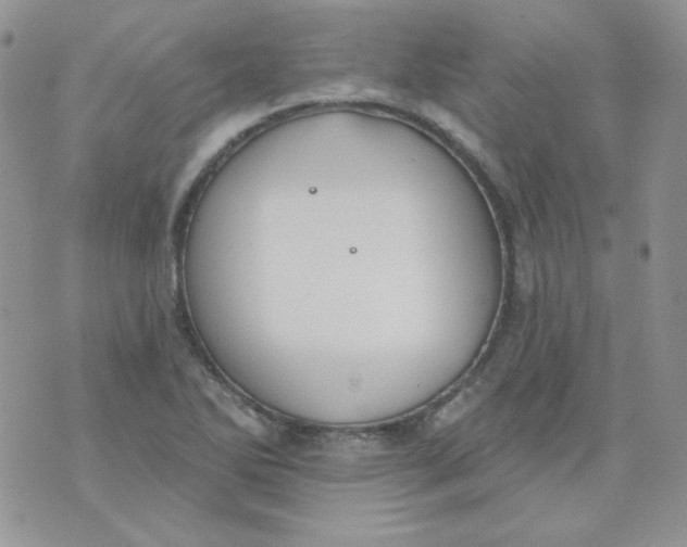 X0000074321270200609152023