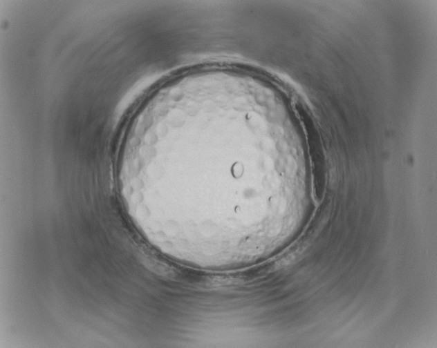 X0000074321271200609152023